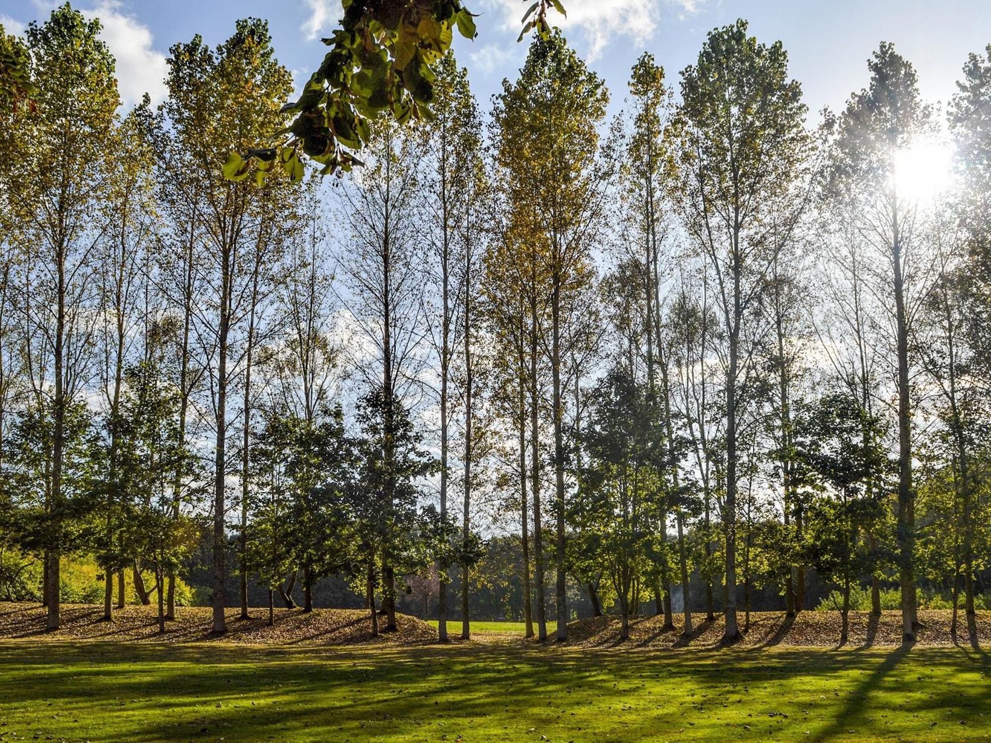 Holiday home Deer 2 Uk39332 Biddenden