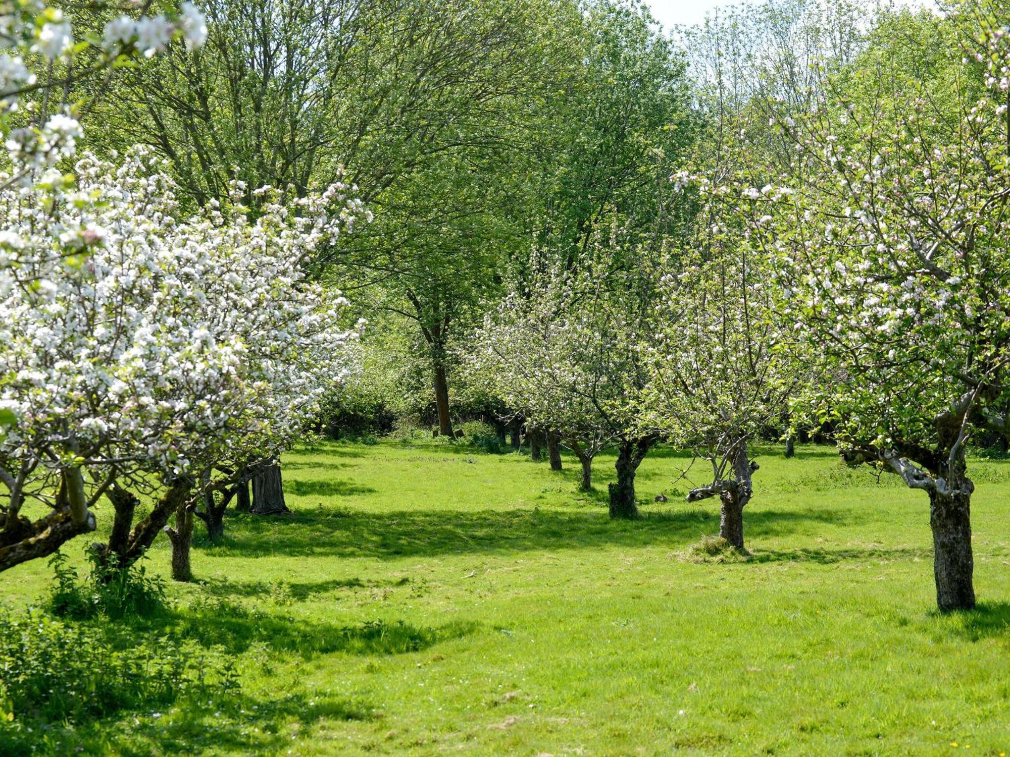 Holiday home Deer 2 Uk39332